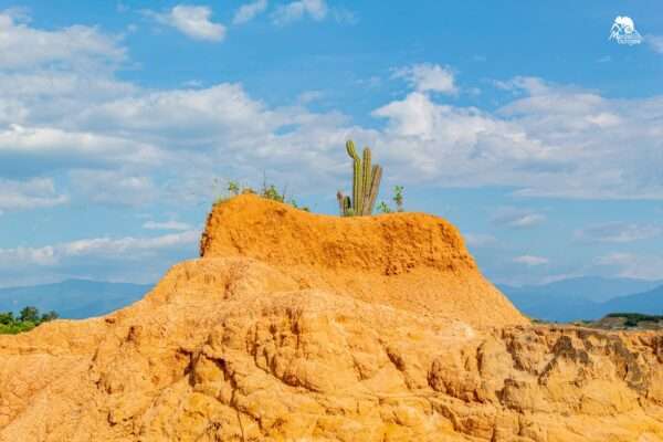 Desierto de la Tatacoa